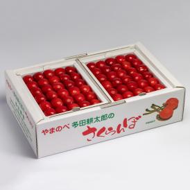 山形美人の本詰L～2Lサイズ約500g×2パックセットです。