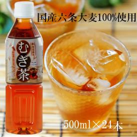 胎内高原のむぎ茶【500ml×24本入り】