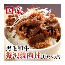 【直火網焼き】“贅沢焼肉丼” 黒毛和牛☆ お得な５食分セット