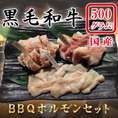 BBQ　ホルモンセット　　５００g