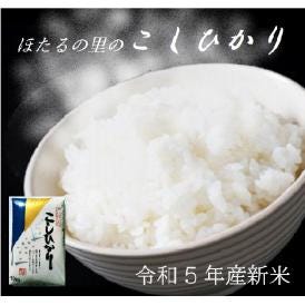 令和5年新米　能登産コシヒカリ　精米10kg　たかだ農園