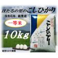 能登産コシヒカリ【一等米】令和6年産　精米10kg