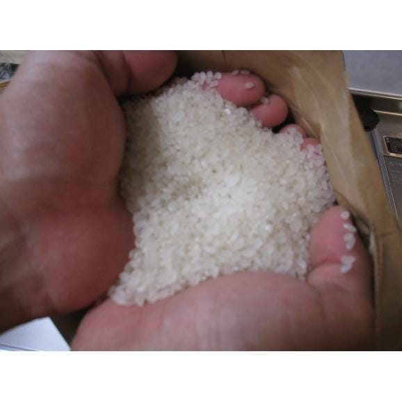 能登産コシヒカリ【一等米】令和6年産　精米10kg06