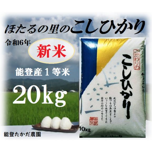 新潟県産コシヒカリ 令和6年 三等米
