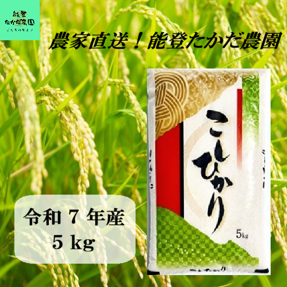 令和7年産 能登産コシヒカリ 精米5kg｜能登たかだ農園の通販・お