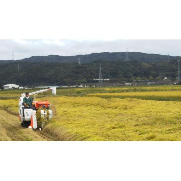 【新米】令和８年産  能登産コシヒカリ【トキ認証米】　精米１０ｋｇ（５kg&times;２袋）05