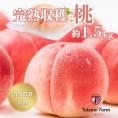 【限定50個】樹上完熟もも1.5㎏(4～6個入)　山梨県　Takano Farｍのもも　送料無料(一部地域)