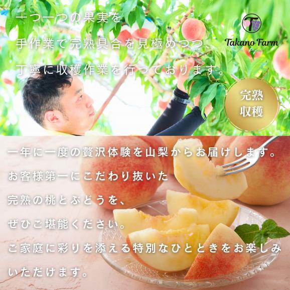 【限定50個】樹上完熟もも1.5㎏(4～6個入)　山梨県　Takano Farｍのもも　送料無料(一部地域)03