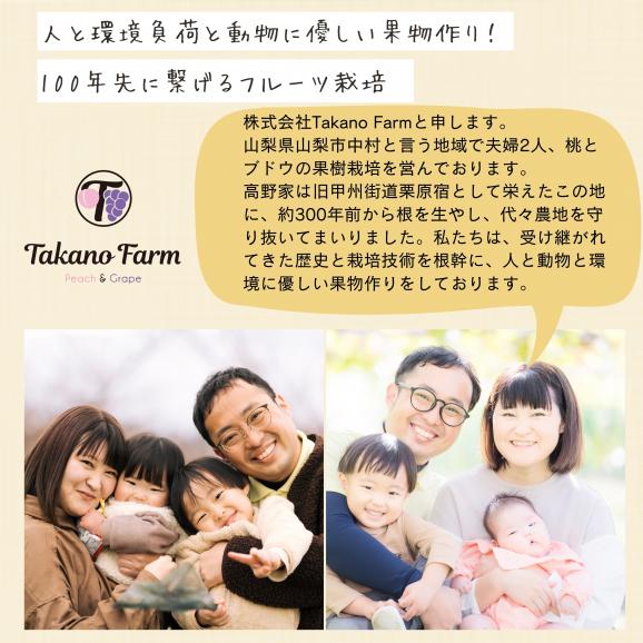 【限定50個】樹上完熟もも1.5㎏(4～6個入)　山梨県　Takano Farｍのもも　送料無料(一部地域)05