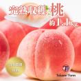 完熟収穫もも 約1.㎏(3～5個入)　山梨県　Takano Farｍのもも　送料無料(一部地域)