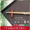 がんこ箸大24cmｸﾘｱ・赤・緑