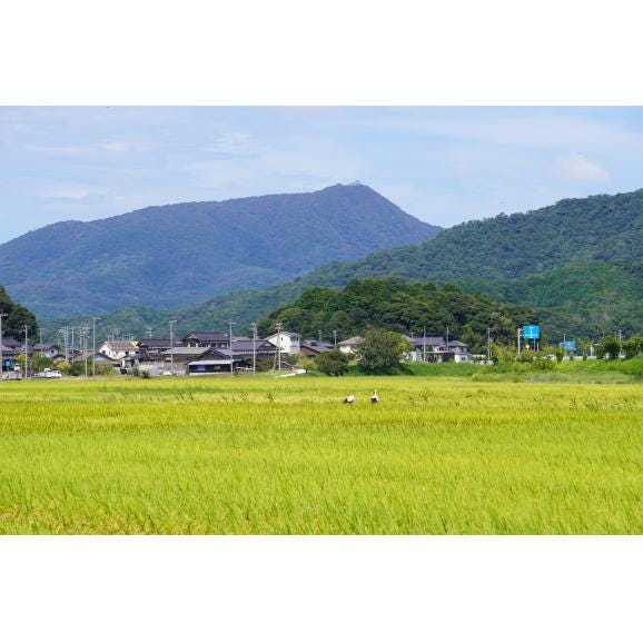 ＜品種おまかせ！＞京都・丹後産お米５キロ04