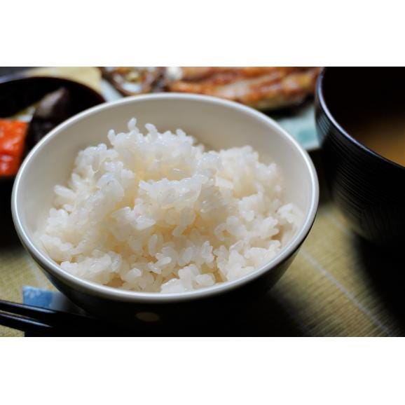 ＜品種おまかせ！＞京都・丹後産お米５キロ06