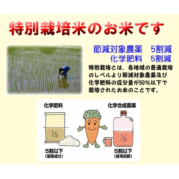 令和5年産 特別栽培米 福岡産 夢つくし 5kg レンゲ栽培米 送料無料 玄米 白米 7分づき 5分づき 3分づき お好みに精米します04