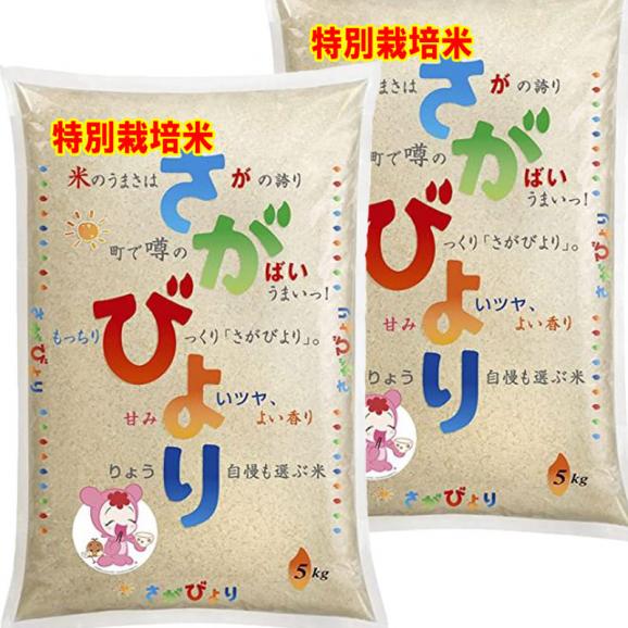 令和5年産 特A米 特別栽培米 佐賀産 さがびより 10kg (5kg×2袋) 送料