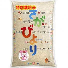 令和5年産 特A米 特別栽培米 佐賀産 さがびより 5kg 送料無料 玄米 白米 7分づき 5分づき 3分づき お好みに精米します