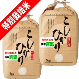 令和5年産 熊本  阿蘇 コシヒカリ 特別栽培米 10kg (5kg×2袋) 送料無料 玄米 精白米 7分づき 5分づき 3分づき オーダー精米