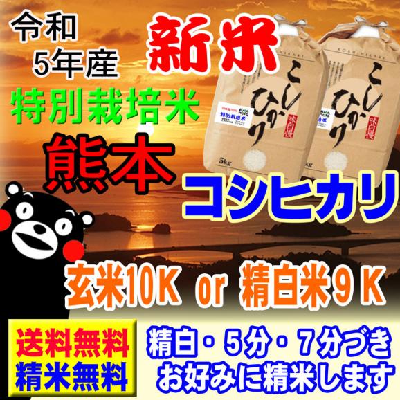 令和5年産 熊本  阿蘇 コシヒカリ 特別栽培米 10kg (5kg×2袋) 送料無料 玄米 精白米 7分づき 5分づき 3分づき オーダー精米02