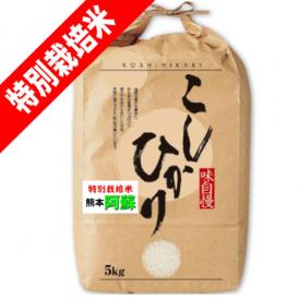 令和5年産 熊本 阿蘇コシヒカリ 特別栽培米 5kg 送料無料 玄米 精白米 7分づき 5分づき 3分づき オーダー精米