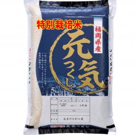 令和5年産 特A米 特別栽培米 福岡産 元気つくし 5kg 送料無料 玄米 精白米 7分づき 5分づき 3分づき お好みの精米をいたします