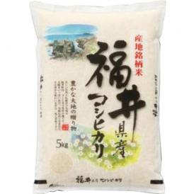 令和５年産 福井県産 コシヒカリ 5kg ５キロ 送料無料 玄米 白米 7分づき 5分づき 3分づき お好みに精米します