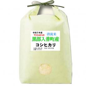 令和5年産 富山県産 コシヒカリ 入善町指定米 5kg 送料無料 玄米 精白米 7分づき 5分づき 3分づき お好みに精米します