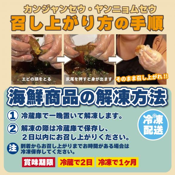 【カンジャン満足セット】1匹カンジャンケジャン＆カンジャンセウ8尾05
