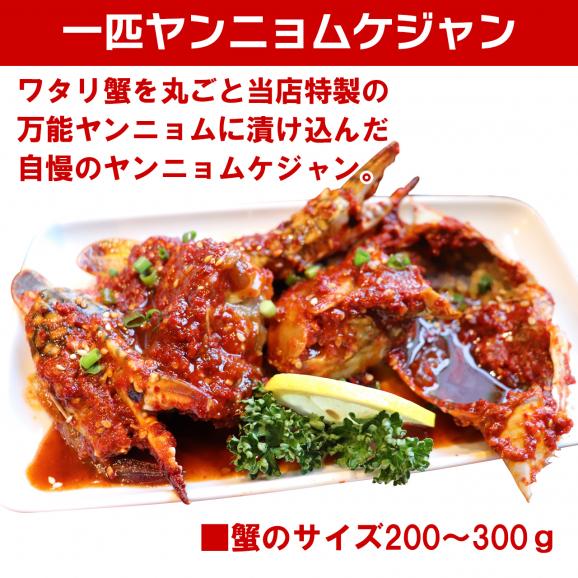 【ヤンニョム特別セット】1匹ヤンニョムケジャン＆ヤンニョムセウの身＆ヤンニョムサーモン＆ヤンニョムホタテ&韓国のり03