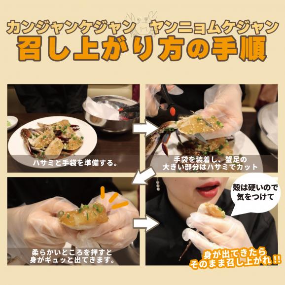 一匹ヤンニョムケジャン （1杯）03