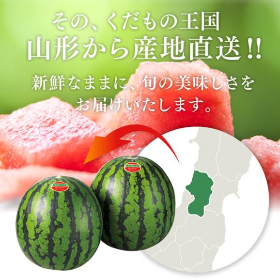 【送料無料】山形県尾花沢産すいか／約5kg・1箱1玉いり wm1103