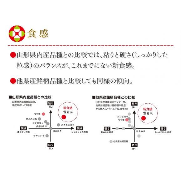 【送料無料】令和4年産 山形県産雪若丸精米5kg  ryy0504※一部地域は別途送料追加04