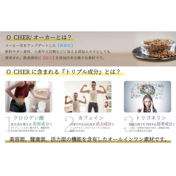 《天ぷらやじま。プロデュース》和心珈琲　青いコーヒー　～コーヒー豆の新たなカテゴリー飲料～02