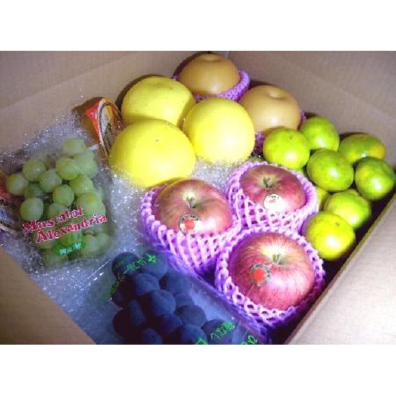果物屋さんの旬のフルーツセット 約4kg　送料無料（一部地域除く）04