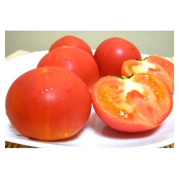 静岡・長野産　アメーラトマト　1kg　高糖度とまと03