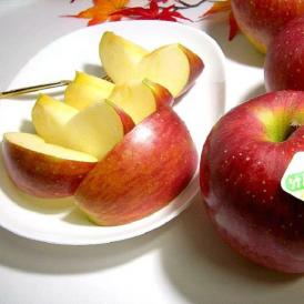 【送料無料 ※一部地域除く】長野産　シナノスイートりんご 約5ｋｇ 小玉|林檎 アップル リンゴ