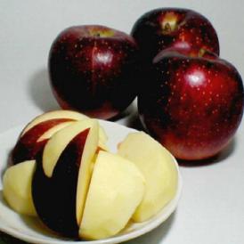 紅玉リンゴ（こうぎょくりんご） 5kg 小玉23～25個入り 青森 長野産 
