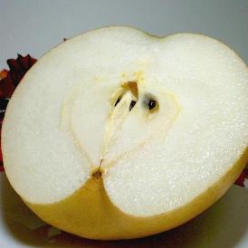 新興梨（しんこうなし）約5kg　超大玉　7～8個入り　京都産　「京たんご梨」