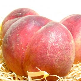 桃 加納岩(かのいわ)果樹園の桃(もも/モモ) 約5kg 大玉15～16個入り 山梨産