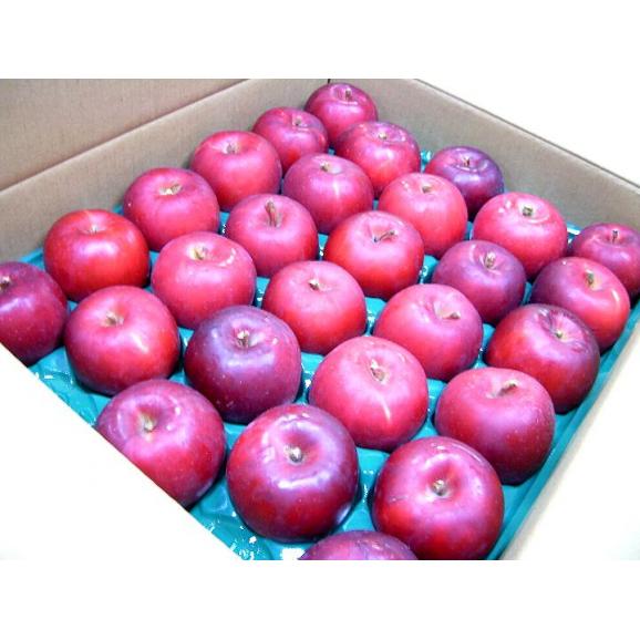 紅玉リンゴ（こうぎょくりんご）約4kg 小玉 28～33個入り 青森 長野産 アップル04