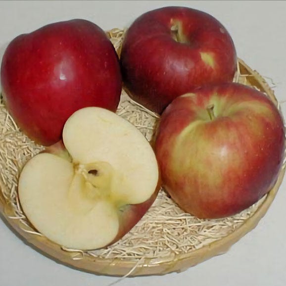 紅玉リンゴ（こうぎょくりんご）約8kg 小玉 56～66個入り 青森 長野産 アップル03