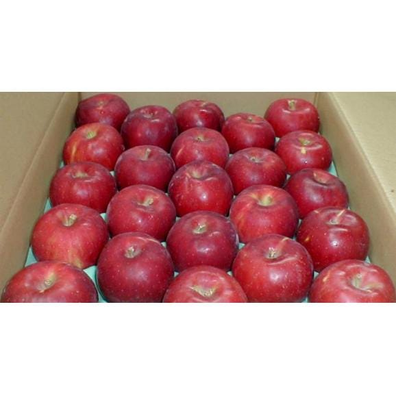 紅玉リンゴ（こうぎょくりんご）約10kg 小玉46～50個入り 青森 長野産　アップル04