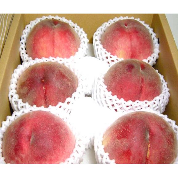 加納岩果実園の 桃　大玉6個入り 化粧箱 山梨産 モモ もも02