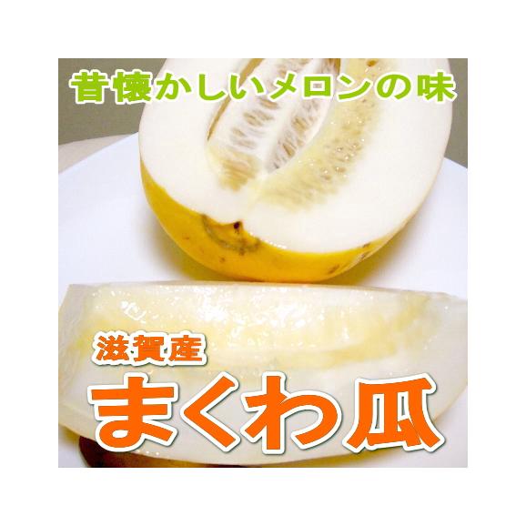 真桑瓜 まくわうり 約5kg 7 9個前後入り 滋賀産 京の老舗の果物屋 鳥羽伊三の通販 お取り寄せなら ぐるすぐり 真桑瓜 まくわうり 約5kg 7 9個前後入り 滋賀産 京の老舗の果物屋 鳥羽伊三の通販 お取り寄せなら ぐるすぐり