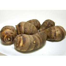 京都産 小さい 海老芋「こえびちゃん」約900ｇ（300ｇ袋×3袋）「1袋5～8個入り」