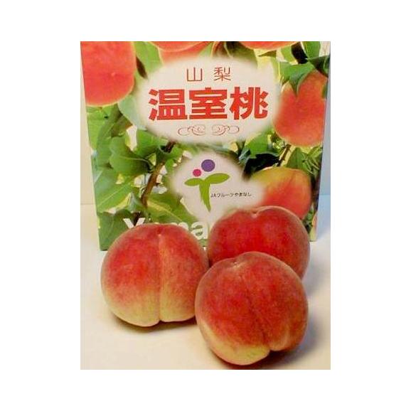 山梨産 温室 桃 小玉 6個入り化粧箱 1.2kg02