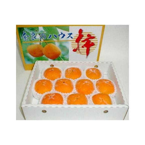 奈良産　ハウス柿（かき）10個入り化粧箱02