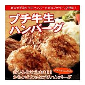 テレビで話題の牛肉１００％手造りプチ牛生ハンバーグ　40ｇ×30個入/ハンバーグ/牛肉/冷凍A