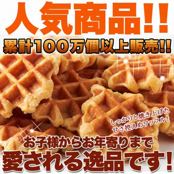 訳あり ベルギーワッフル どっさり1kg/常温便02