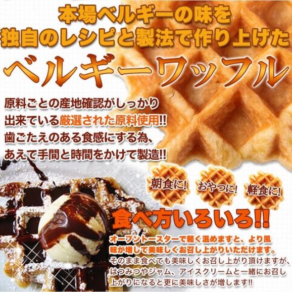 訳あり ベルギーワッフル どっさり1kg/常温便05