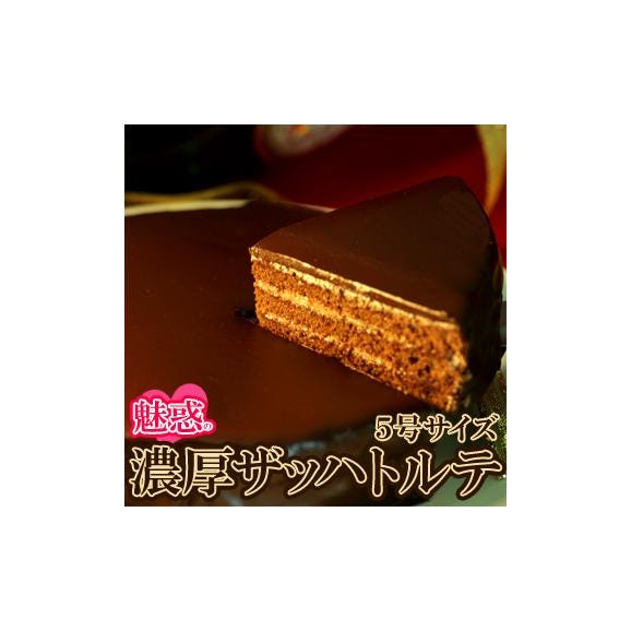 ザッハトルテ ケーキ チョコレートケーキ　送料無料/冷凍便01